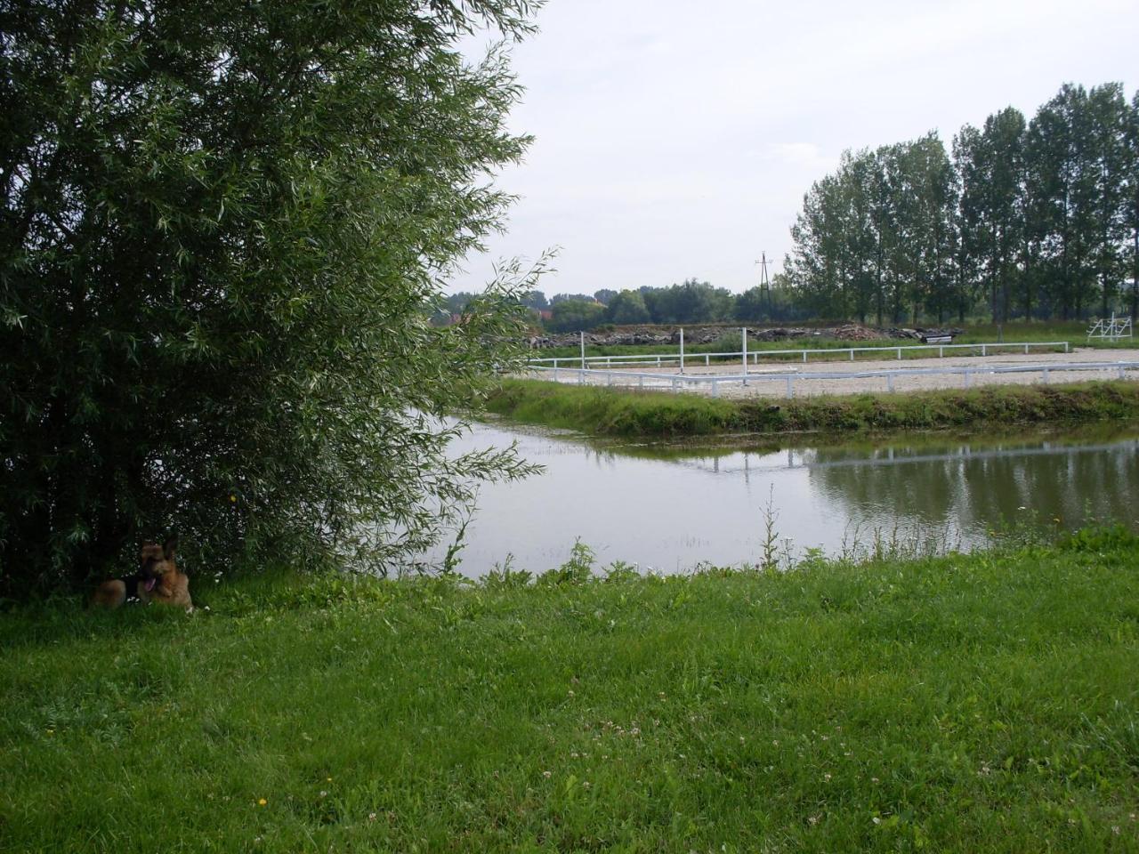 Nagybajcsi Lovaspark Es Otthon Vendeghaz エクステリア 写真